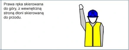 Ilustracja do pytania 84